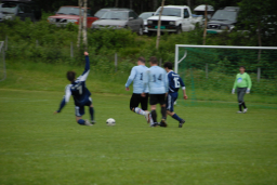 fiksrekvvil22011 033